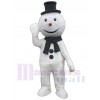 Bonhomme de neige costume de mascotte