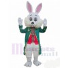 Wendell Lapin costume de mascotte