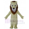 Lion costume de mascotte