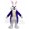 Lapin de Pâques costume de mascotte