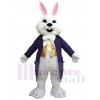 Lapin de Pâques costume de mascotte