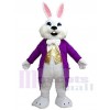 Lapin de Pâques costume de mascotte