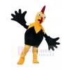 Poulet costume de mascotte