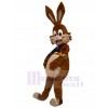 Lapin costume de mascotte
