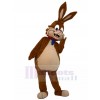 Lapin costume de mascotte