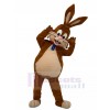Lapin costume de mascotte