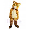 Chat costume de mascotte