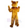 Chat costume de mascotte