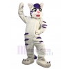 Chat costume de mascotte