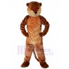 Loutre costume de mascotte