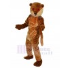 Loutre costume de mascotte