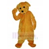 Chien costume de mascotte