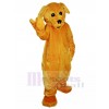 Chien costume de mascotte
