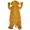 Chien costume de mascotte