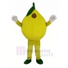 Jaune citron Mascotte Costume