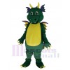 Dragon costume de mascotte