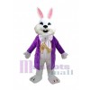 Lapin de Pâques costume de mascotte