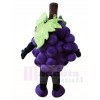 Violet Grain de raisin Mascotte Les costumes Fruit Aliments Plante