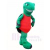 Vert Terrapin Tortue Tortue Mascotte Les costumes Mer