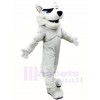 Gris Rauque Chien Mascotte Les costumes Animal