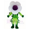 blanc Fleur Mascotte Les costumes Plante