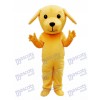 Costume de mascotte chien jaune Animal