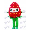 Costume de mascotte aux fraises