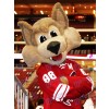 Arizona Coyotes hurleur le costume de mascotte de loup Coyote