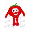 Bob le costume de mascotte de tomate de VeggieTales Cartoon