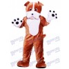 Costume drôle de mascotte de chien de Bulldog de chien