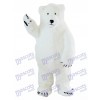 Costume de mascotte ours blanc polaire Animal