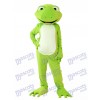 Costume de mascotte de grenouille verte Animal