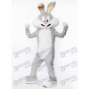 Lapin gris avec costume de mascotte de carotte Animal