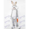 Lapin gris avec costume de mascotte de carotte Animal