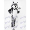 Costume de mascotte loup gris Animal