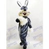 Lapin gris Lapin de Pâques Lièvre costume de mascotte des animaux