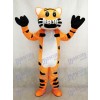 Mascotte de tigre rouge Costume adulte Animal