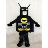 Costume Lego Batman Super Hero Mascotte