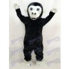 Nouveau Costume de mascotte gorille noire Animal