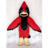 Costume mascotte mignonne Big Red Bird