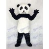 Costume adulte de mascotte de panda Zoo animalier