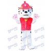 Marshall patte patrouille Dalmatien chien Mascotte Costume Cartoon Anime