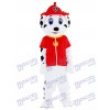 Marshall Paw Patrol chien Mascotte Costume Cartoon Anime