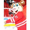 Costume de mascotte de glace Hurricanes Carolina Hurricanes