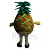 Ananas costume de mascotte