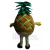 Ananas costume de mascotte