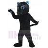 Sir Purr du Costume de la mascotte des Panthères de la Caroline Black Panther