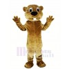 marron Castor Mascotte Costume Animal Adulte