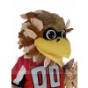 Falcon costume de mascotte