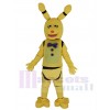 Bonnie de printemps Lapin costume de mascotte